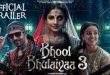 Bhool Bhulaiyaa 3